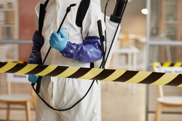 Professional Sewage Cleanup technician working in Stanton, MI